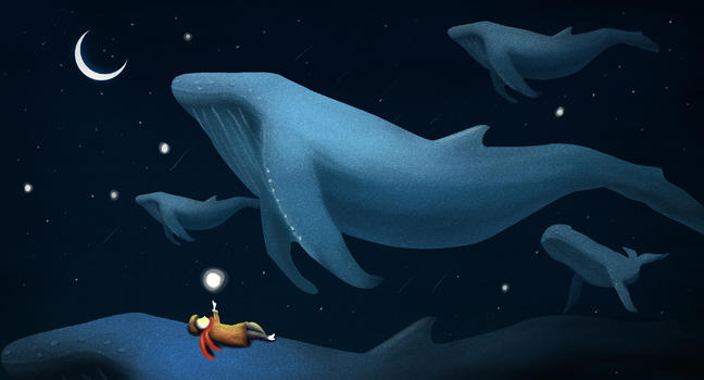 数鲸鱼的男孩图片素材免费下载