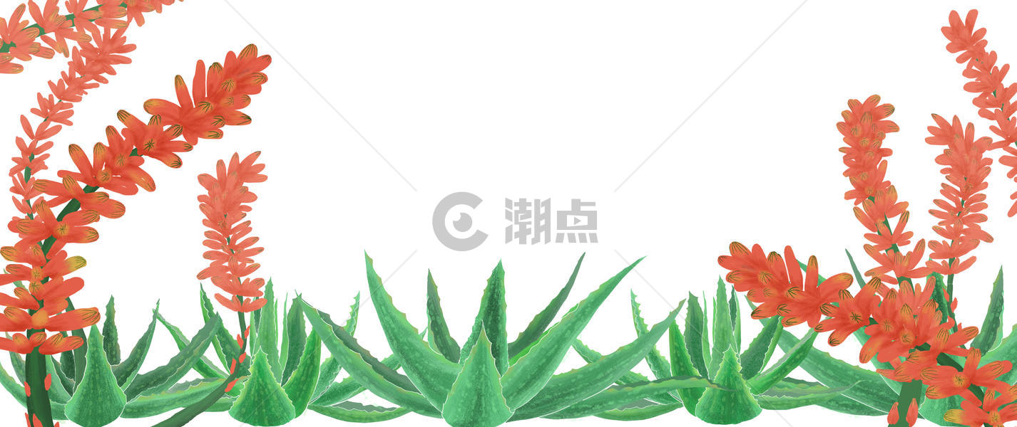 手绘芦荟植物背景图片素材免费下载