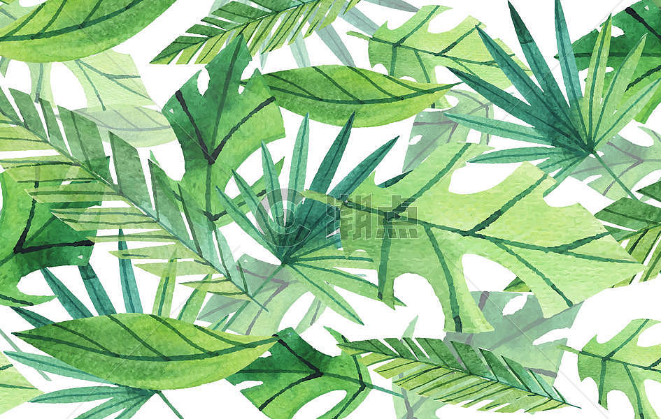 手绘水彩植物图片素材免费下载