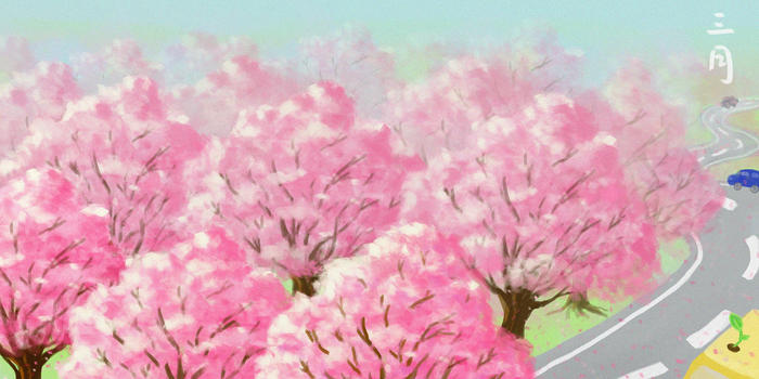 赏樱花图片素材免费下载