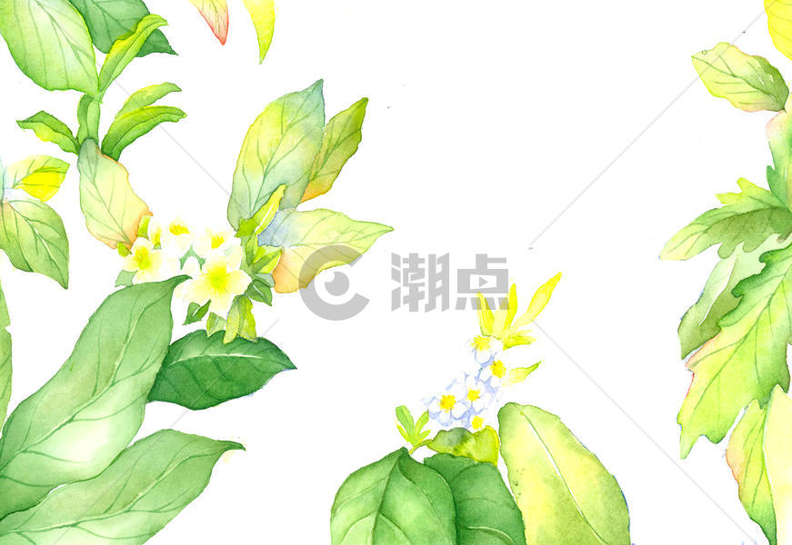花卉绿色小清新植物背景素材图片素材免费下载