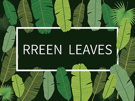 热带绿色植物背景图片素材免费下载