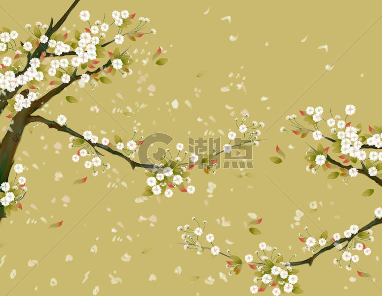 樱花花卉背景图片素材免费下载