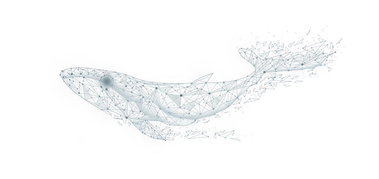 海洋科技鲸鱼背景图片素材免费下载