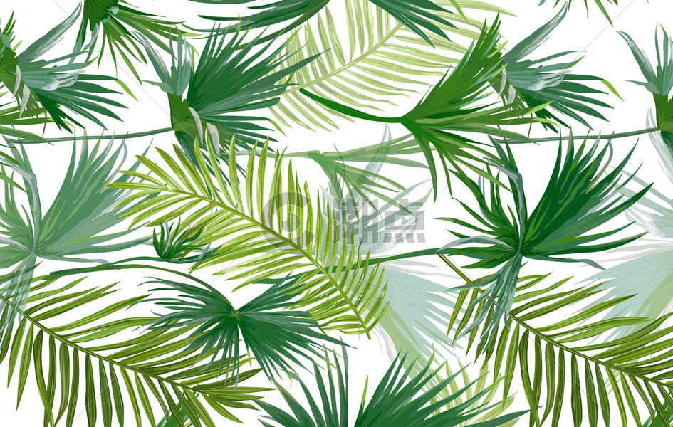 水彩热带植物图片素材免费下载