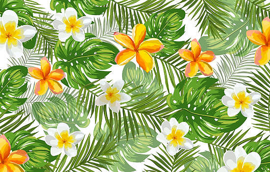 热带植物花卉图片素材免费下载