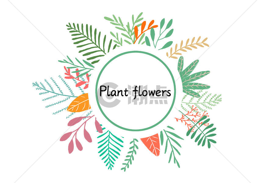 植物图片素材免费下载