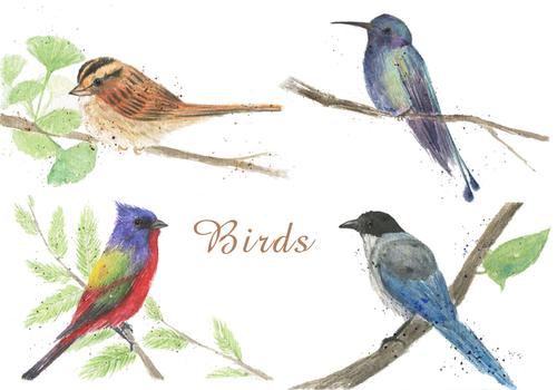 水彩手绘鸟类素材图片素材免费下载