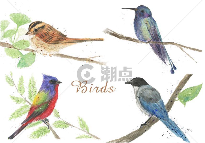 水彩手绘鸟类素材图片素材免费下载