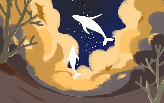 夜空中的鲸鱼图片素材免费下载