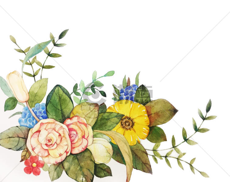 手绘花卉元素图片素材免费下载