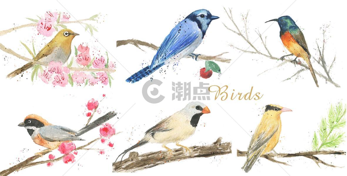 手绘水彩鸟素材图片素材免费下载