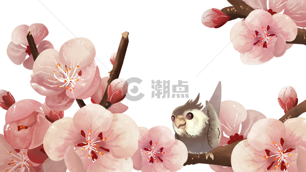 樱花与小鸟图片素材免费下载