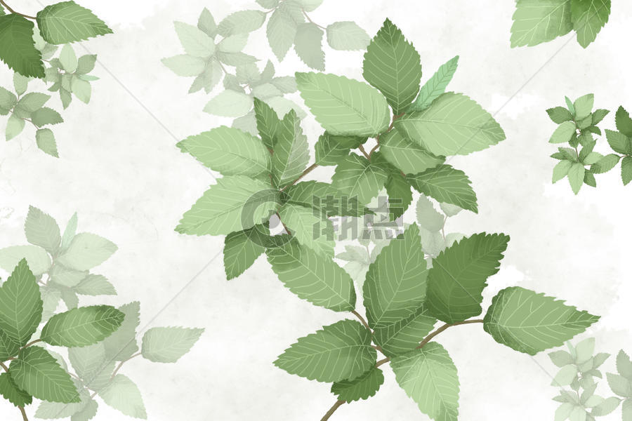 小清新绿色树叶背景素材图片素材免费下载