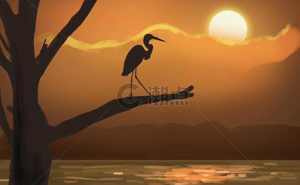 站在指头看日出的鹤图片素材免费下载