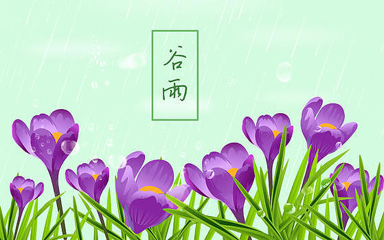 雨中的鲜花图片素材免费下载