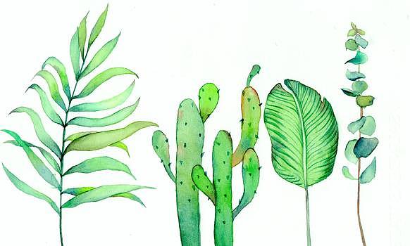 水彩北欧绿植手绘图片素材免费下载