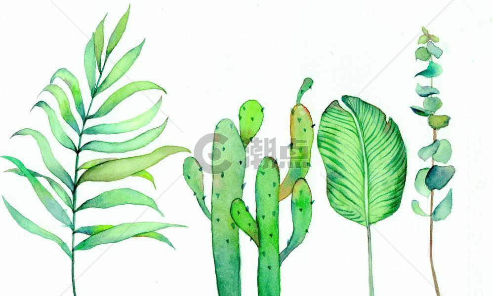 水彩北欧绿植手绘图片素材免费下载