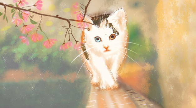 唯美猫咪插画图片素材免费下载