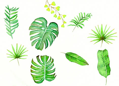 水彩插画绿植图片素材免费下载