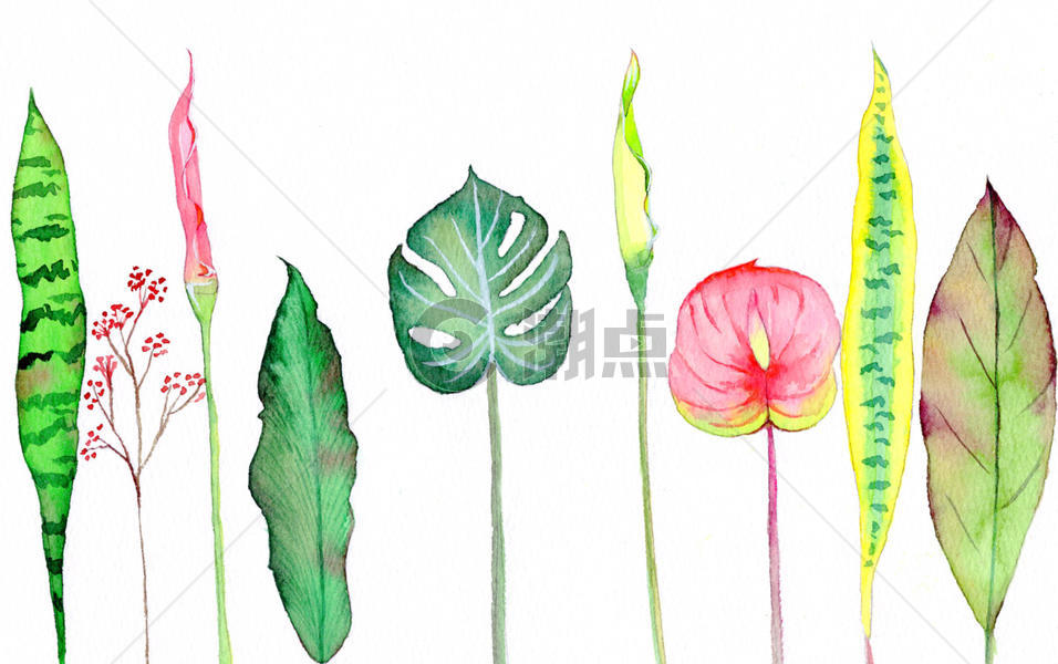 水彩手绘叶子图片素材免费下载