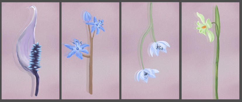 花卉植物素材图片素材免费下载