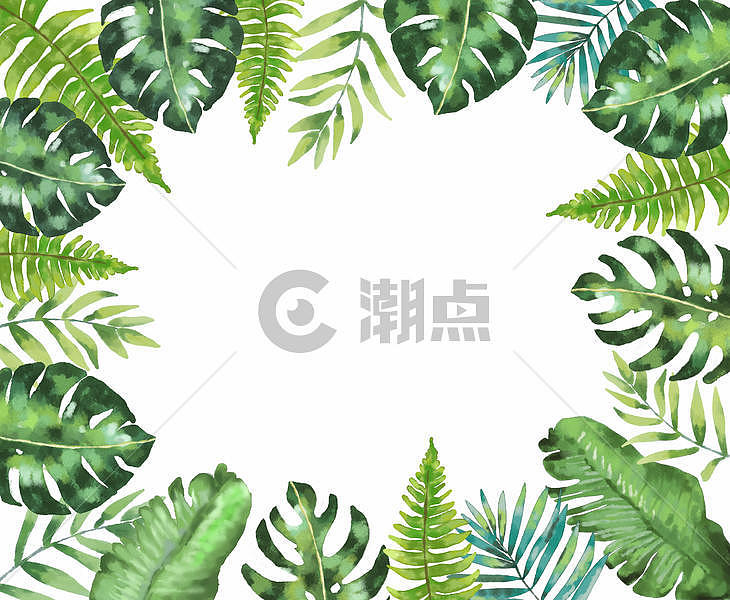 水彩热带植物绿色背景图片素材免费下载