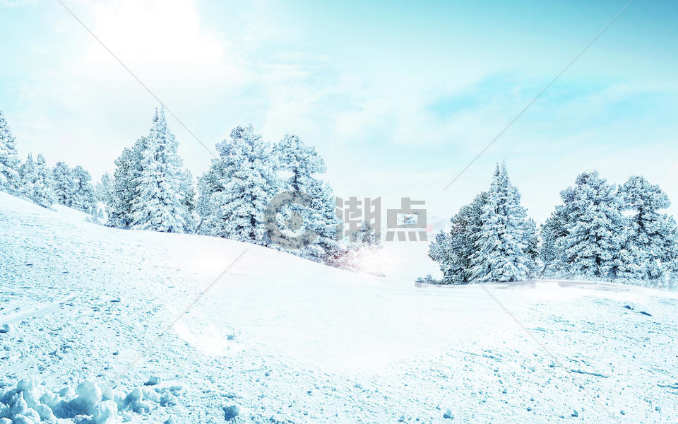美丽的雪景图片素材免费下载