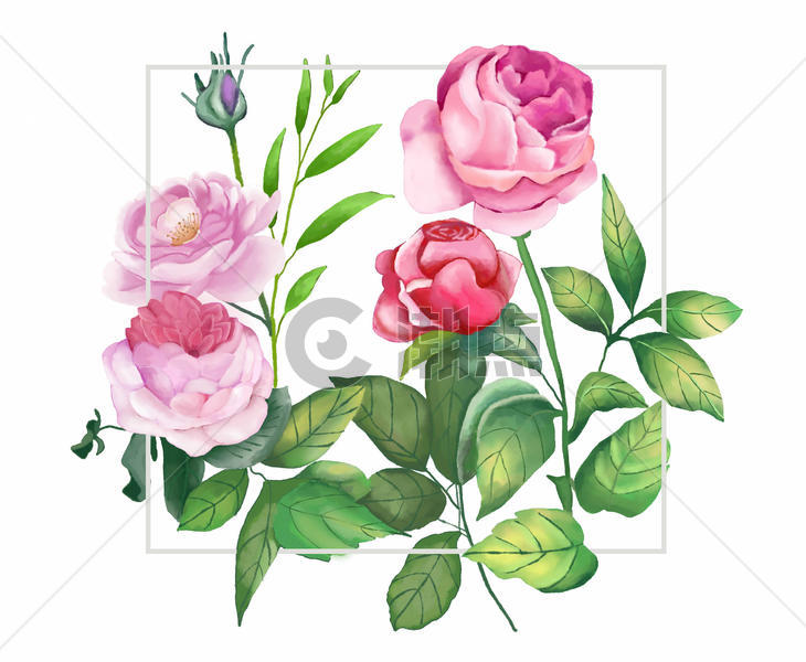 水彩花卉装饰框背景图片素材免费下载