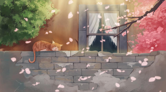 樱花树下晒太阳的猫图片素材免费下载