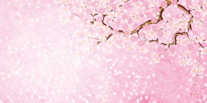 春天赏花季图片素材免费下载