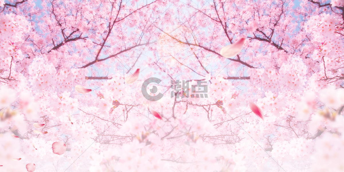 唯美粉色樱花图片素材免费下载