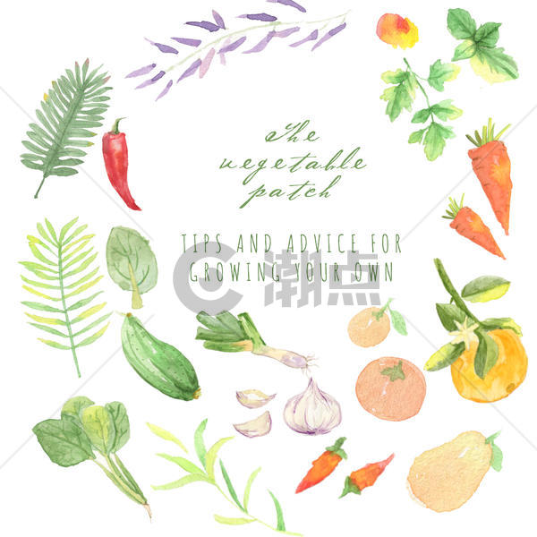 手绘水彩水果蔬菜图片素材免费下载