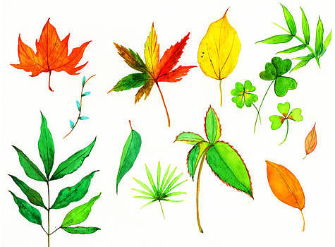 水彩手绘叶子图片素材免费下载