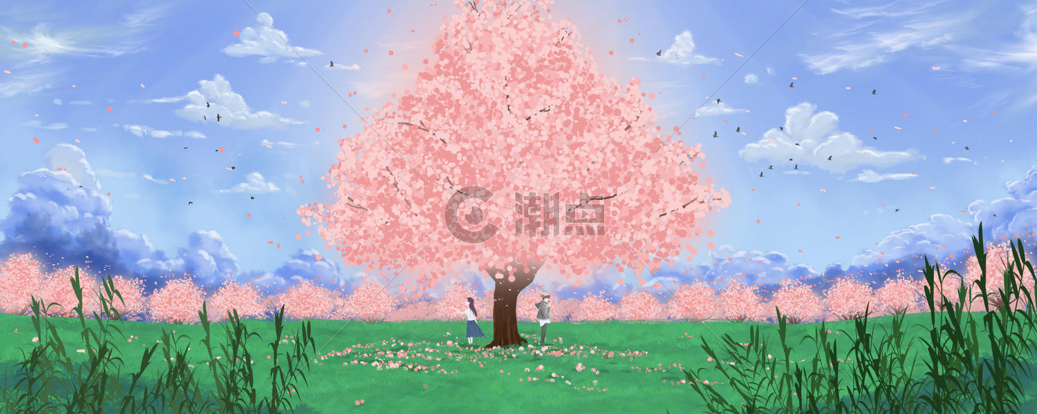 樱花之恋图片素材免费下载