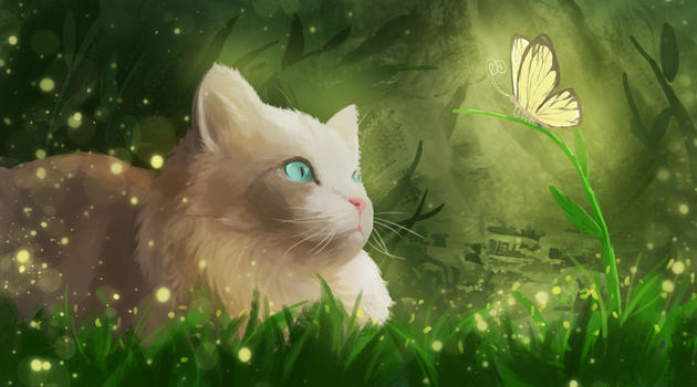 草丛中的猫咪和蝴蝶图片素材免费下载