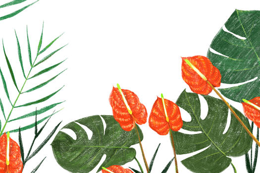 热带花叶花烛图片素材免费下载