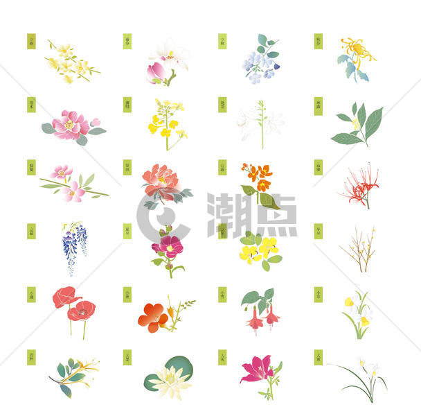 二十四节气花卉图片素材免费下载