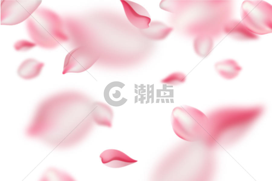粉色樱花花瓣背景图片素材免费下载