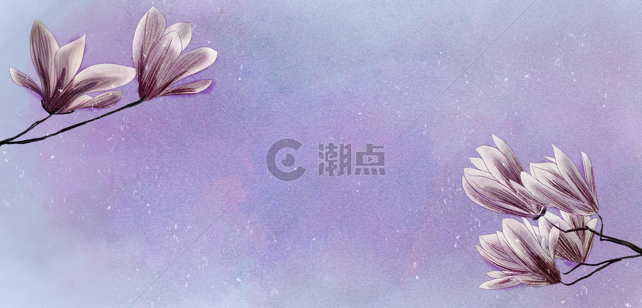 玉兰花 花卉背景素材图片素材免费下载