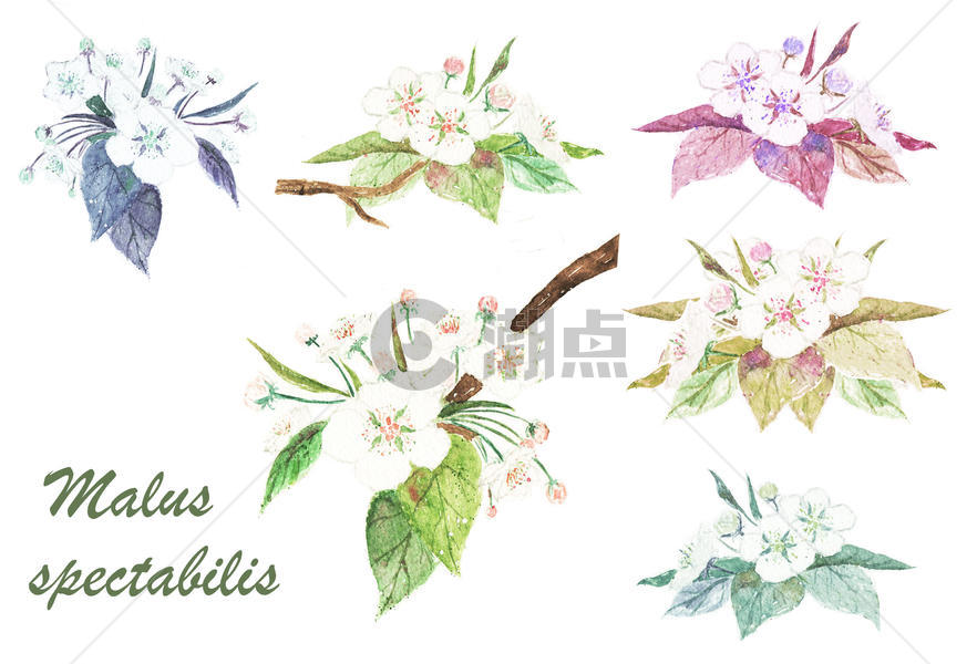 水彩多色花卉组合背景素材图片素材免费下载