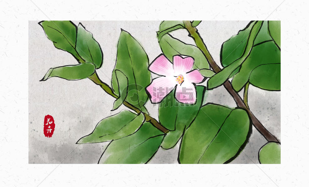 花卉植物中国风插画图片素材免费下载