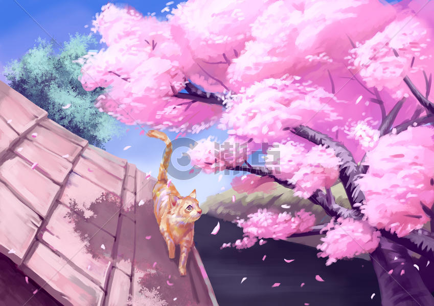 一只猫在看着散落的樱花图片素材免费下载