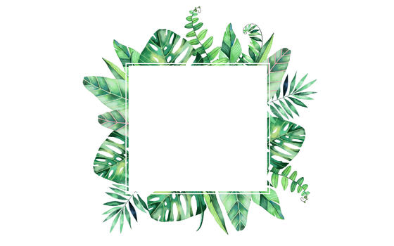 小清新热带绿叶背景图片素材免费下载
