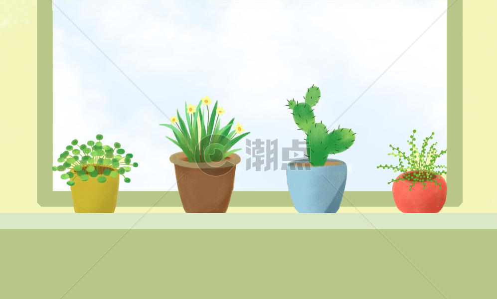 盆栽植物背景素材图片素材免费下载