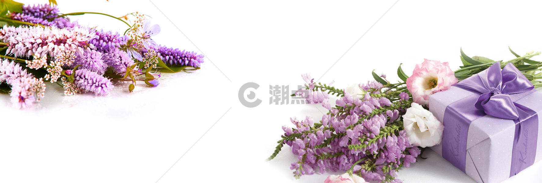 花卉简约背景图片素材免费下载