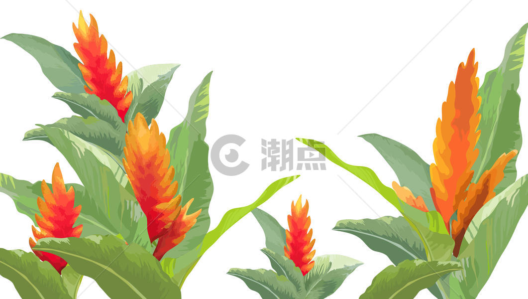 水彩花卉植物图片素材免费下载
