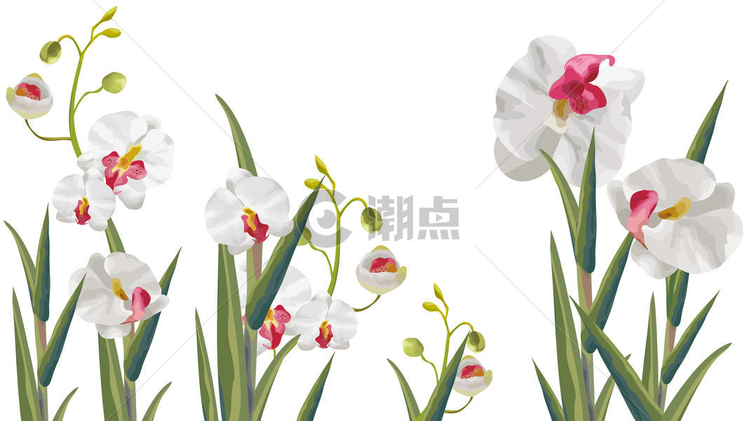 花卉植物插画图片素材免费下载