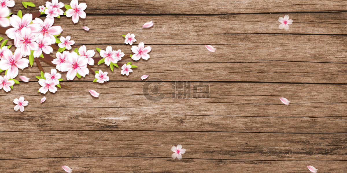 木板上的樱花图片素材免费下载