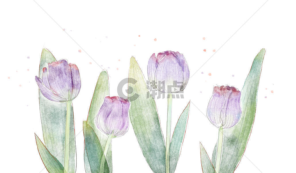 水彩郁金香花卉素材图片素材免费下载